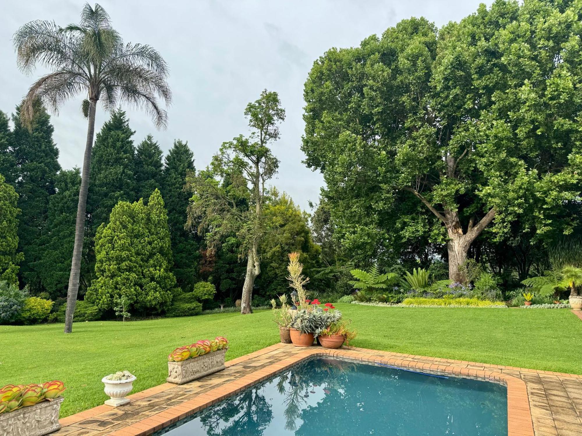 Pin Oak Cottage Vryheid Ngoại thất bức ảnh